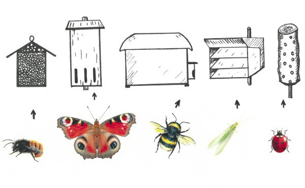 De gauche à droite : gîte pour abeilles sauvages / gîte à papillons / ruche à bourdons / gîte à chrysopes / tour à coccinelles © Nicolas Macaire / LPO